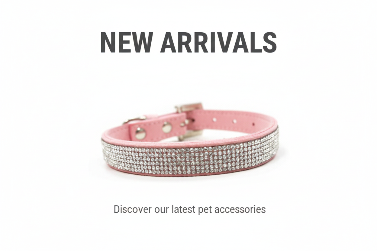 New Arrivals