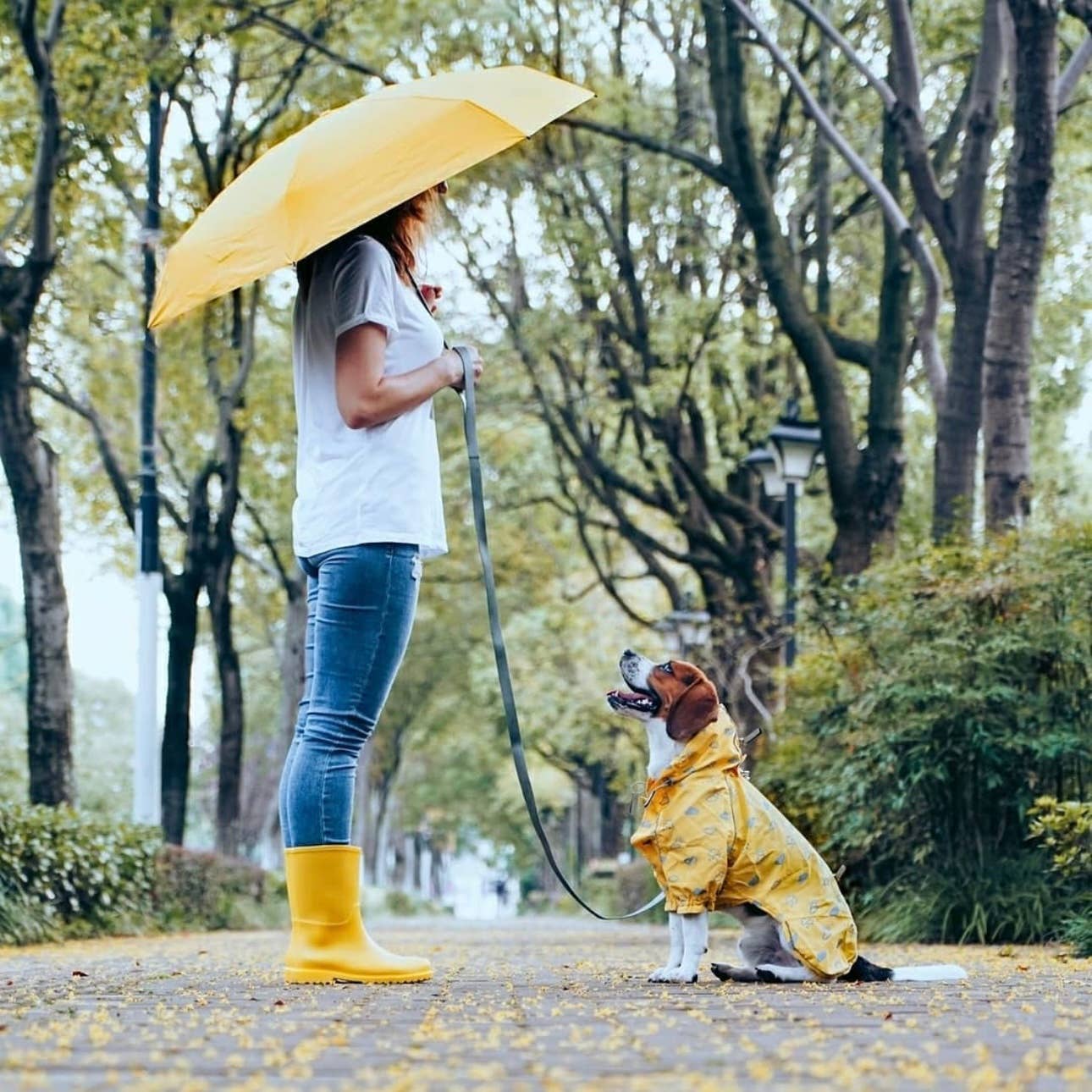 2-Leg Reflective Dog Raincoat – Water-Resistant with Adjustable Fit | Blue