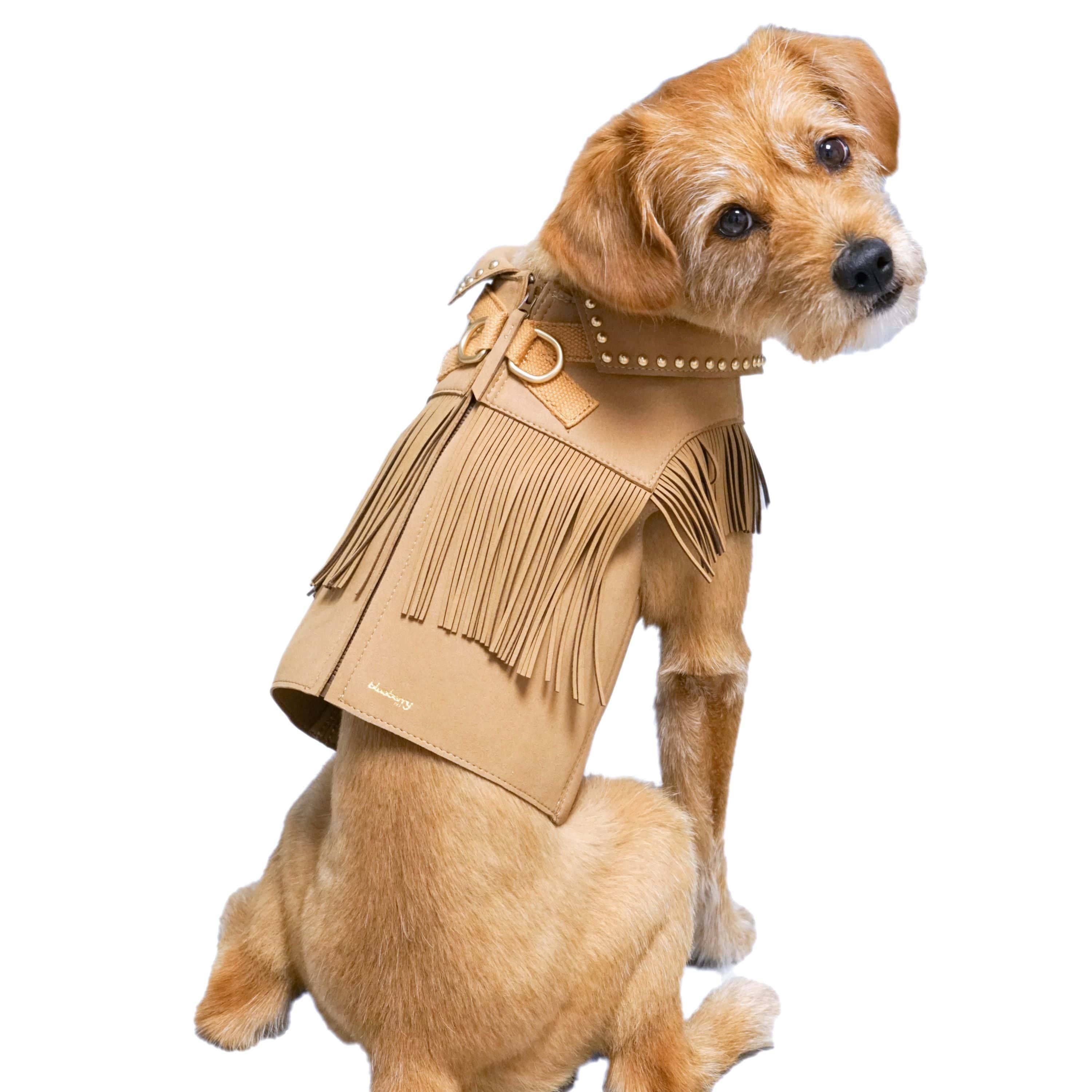 Silver-Powered Freshness Microfiber Suede Dog Harness Jacket -  Fringed Style: Midnight Black / 8"